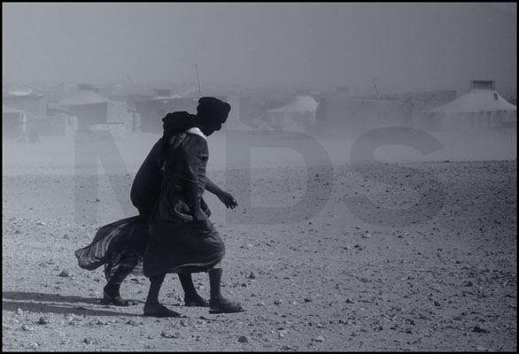 Campi profughi guerra del Polisario,  Western Sahara - © Maurizio Distefano